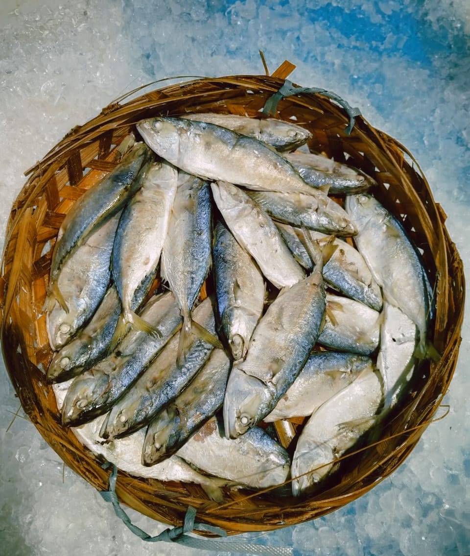 Kampung Fish